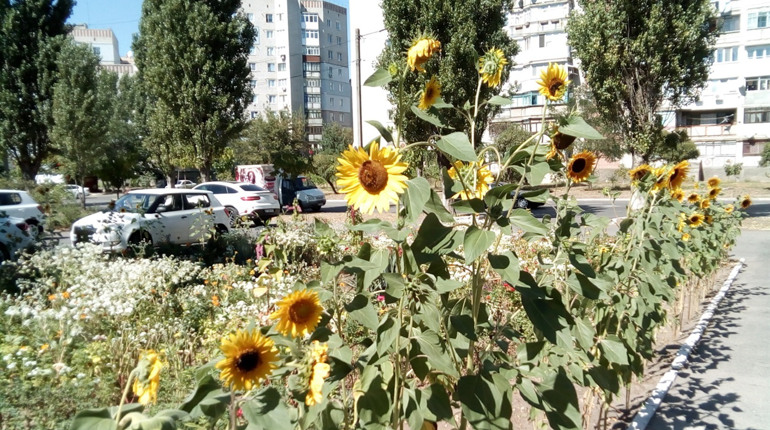 Коли прийде похолодання