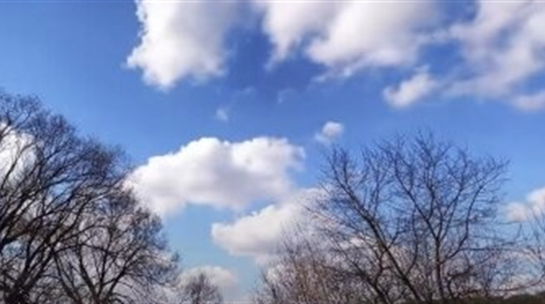 Погода у Нетішині та в області на 28 березня