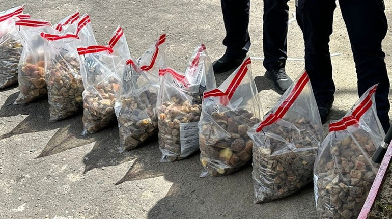 Вивозив з області 85 кілограмів бурштину: жителя Сарненського району затримали