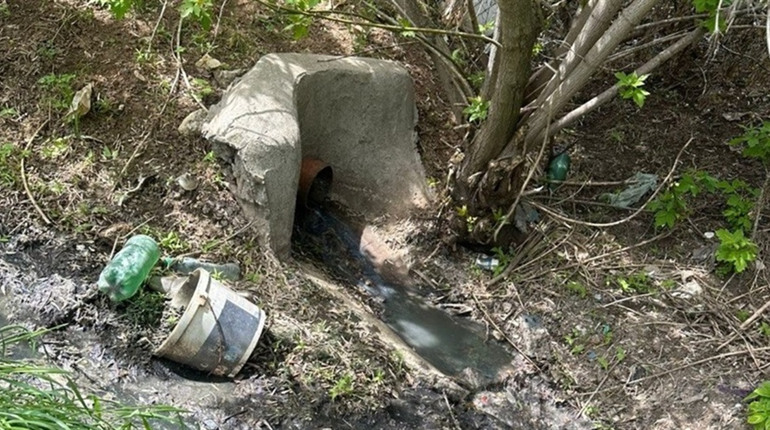 У Холодній Балці каналізація тече в балку: депутат заявив про антисанітарію, у сільраді відповіли