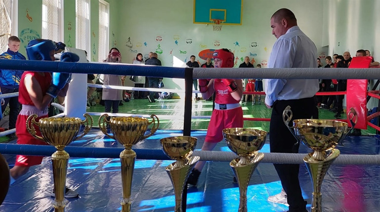 Нові перспективні секції, розвиток боксу у Кременці і недофінансований спорт