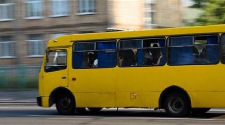 Перевізник відновлює рух автобусів за маршрутом Фастів-Житомир: графік і вартість проїзду