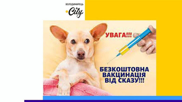 У Володимирці будуть вакцинувати тварин від сказу. Є графік.