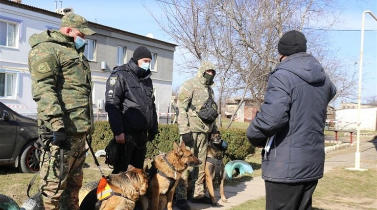 Хто вбив семирічну Марійку Борисову на Херсонщині? Поліція встановлює причетних