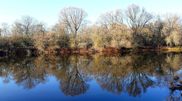 Дорогий улов: Інспектор попередив про штрафи до 5 тисяч гривень за одну рибину під час нересту