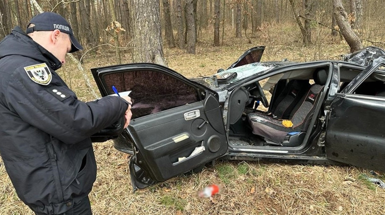 У сусідньому районі дерево впало на автівку і залишило дитину сиротою