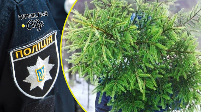 На Переяславщині з подвірʼя вкрали ялинку, а в лісі зрубали вісім сосен: хроніка поліції 9 грудня