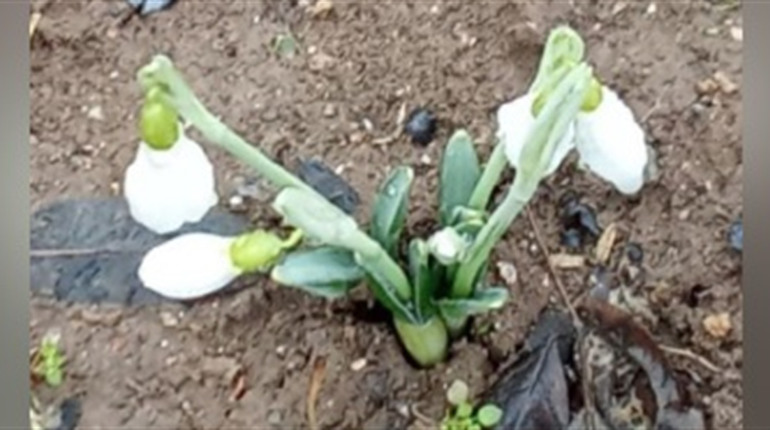 Перекриті дороги і перші проліски - новини з Нової Каховки