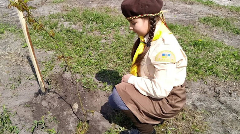 Дубово-липову алею, на честь загиблих воїнів, висадили біля каплиці-пантеону на Кременеччині