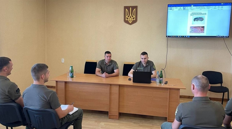 Як зберегти хвойні насадження від шкідників та хвороб: лісівники Смілянщини провели нараду