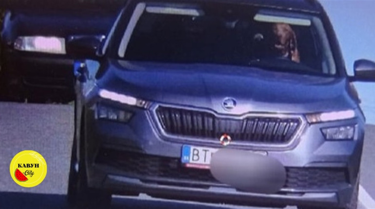 У Словаччині помітили пса за кермом херсонської автівки?