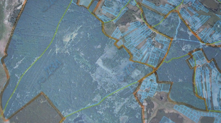 Студениківській громаді вдалося повернути 256 гектарів лісу