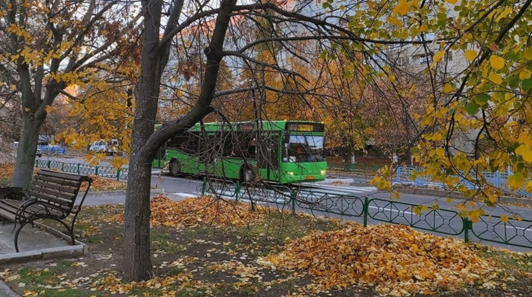 Без опадів та з приморозком уночі. Якою буде погода в Южноукраїнську цього тижня