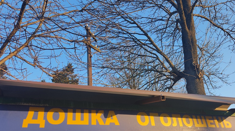Дошка оголошень: квітень 2024 року