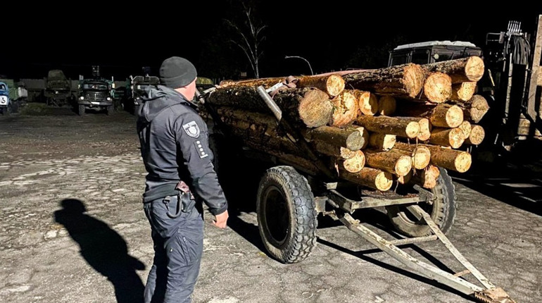 Чотирьох чоловіків із Сарненського району викрили на перевезенні деревини