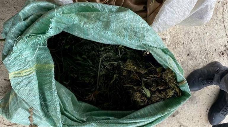 На Черкащині двом наркозбувачам канабісу повідомили про підозру