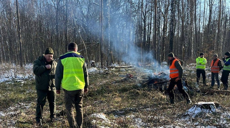 Спалювали порубкові рештки в лісі: на Звягельщині за 2 дні зафіксували 3 порушення пожежної безпеки