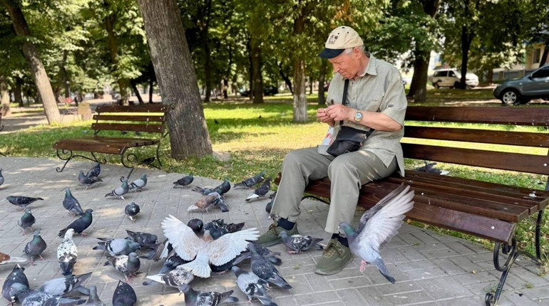 «Вони нагадують мені про дитинство»: щодня пенсіонер із Глухова годує птахів у центральному сквері
