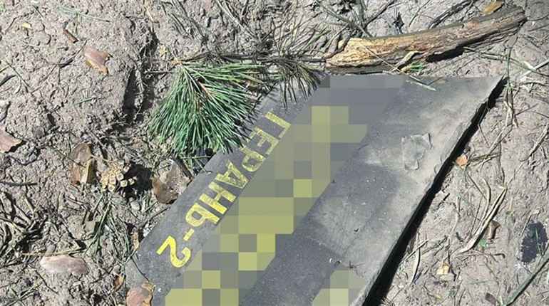 Через велику нічну атаку росіян пошкоджені насадження лісництва на Житомирщині