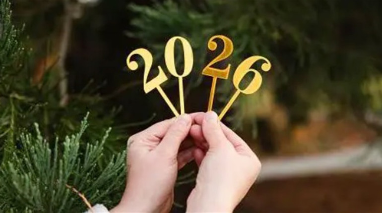 Зарплати, громадянство, гроші на дітей і здоров'я: що змінюється у січні