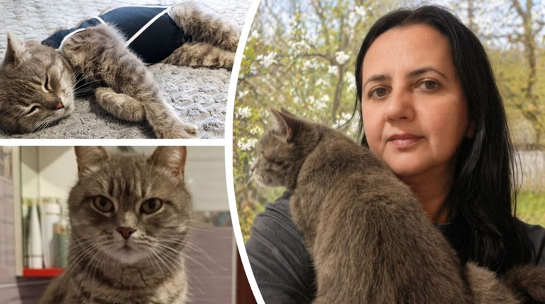 165 днів розлуки: у Петропавлівці знайшлася кішка Нюша, яку шукали понад п’ять місяців