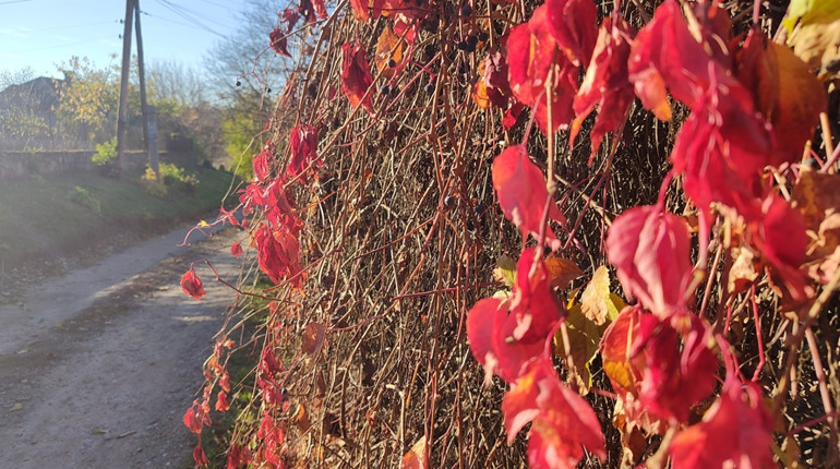 Похолодання і перший сніг: що прогнозують синоптики Первомайську в листопаді