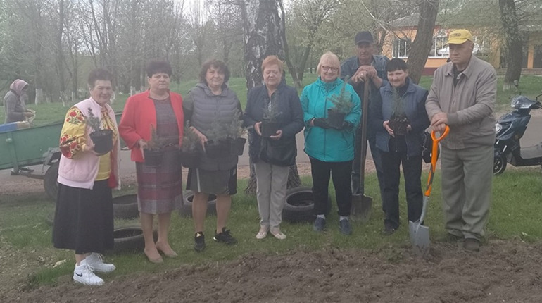 Пів століття тому закінчили Соснівську школу на Переяславщині, зустрілися і посадили ялинкову алею
