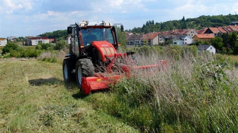 Що Біляївська міська рада зробить із занедбаними земельними ділянками в кооперативі "Тірас"