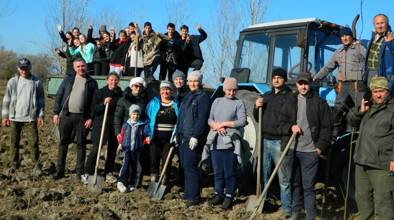 Мешканці Градениць за чотири години висадили біля села 2300 дерев