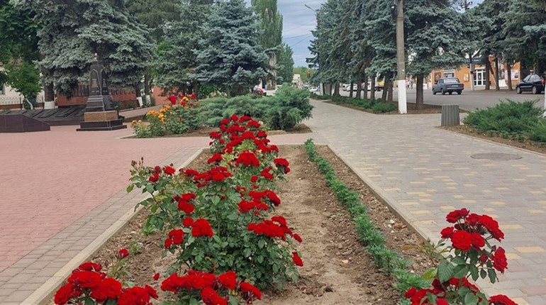 У Біляївці, громаді відновлять спільні з поліцією рейди з благоустрою: на що звертають увагу жителів