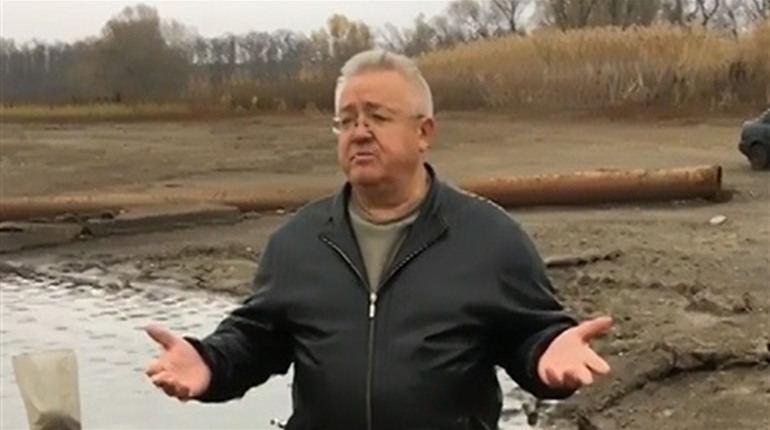 На водосховищі у Райгородці Сватівського району не загинуло 13 тонн риби: що там сталося насправді