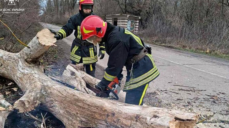 У Смілі через негоду дерева впали на дорогу: рятувальники ліквідовують наслідки