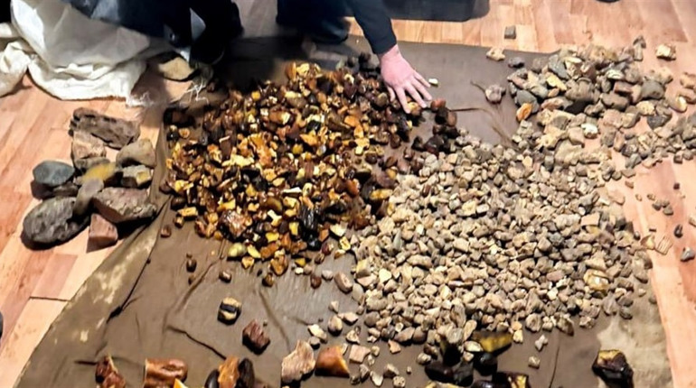 Бурштиновий бізнес на близько два мільйони: на Рівненщині викрили схему нелегального заробітку