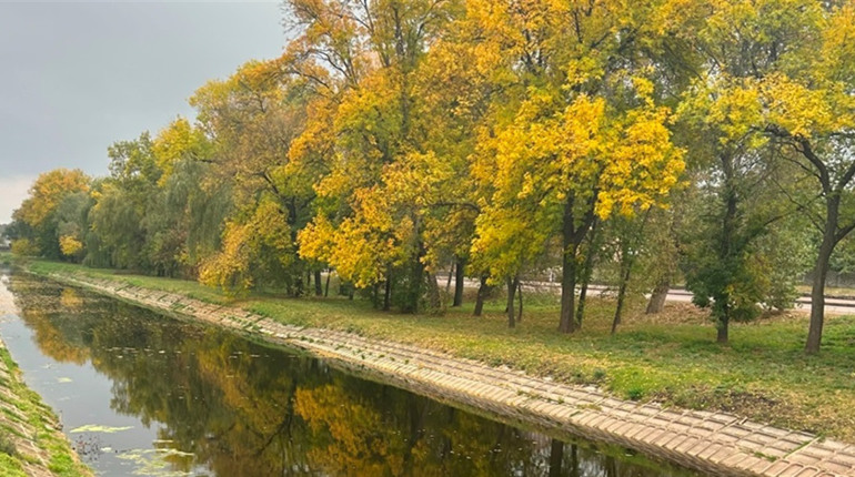 Яку погоду прогнозують синоптики у найближчі дні