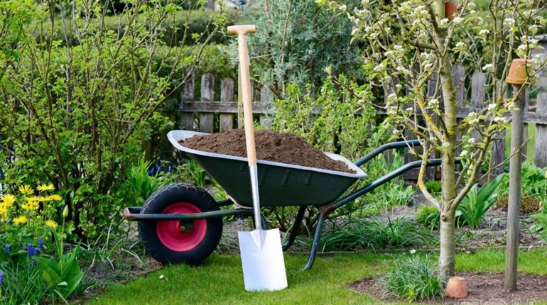 Що треба зробити в саду навесні, щоб урожай з’їли ви, а не шкідники. Поради садівниці з Корюківки