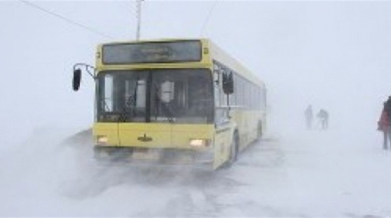 З Одеси почали випускати міжміські маршрутки: дізнайтеся, які ходять на 12.00, 27 листопада