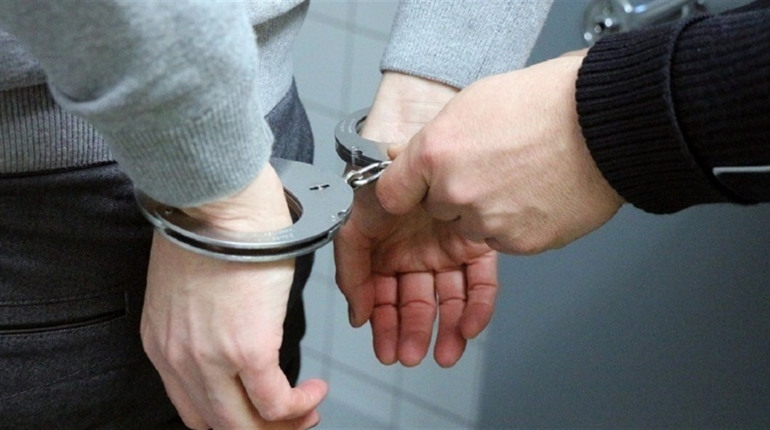 У Нетішині взяли під варту чоловіка, який викинув собаку з сьомого поверху: що йому загрожує