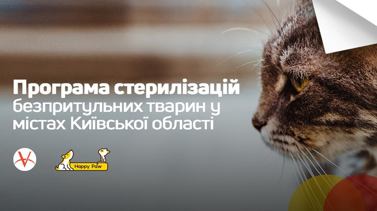 У Фастові фонд Happy Paw безкоштовно стерилізує безпритульних тварин