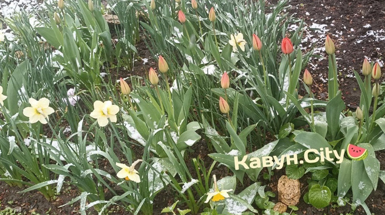 В Херсоні зафіксували черговий температурний рекорд: коли чекати потепління