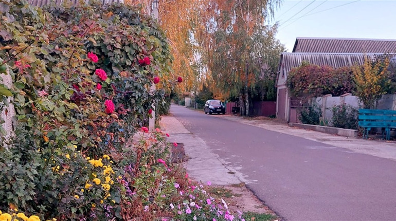 Мешканка Біляївки поскаржилася, що на Остапа Вишні комунальники спилили неаварійне дерево