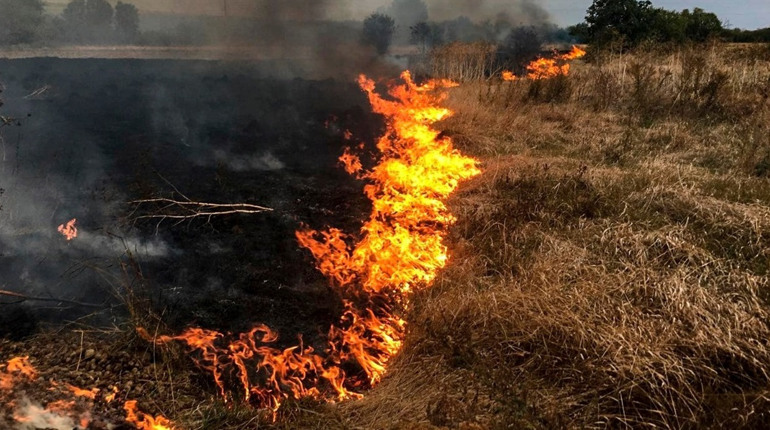На Черкащині рятувальники ліквідували 6 пожеж сухої рослинності