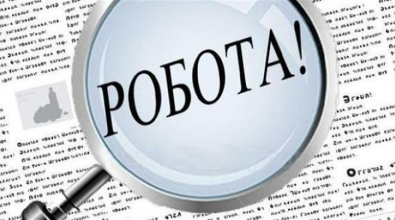 Робота на Білопільщині: які вакансії мають роботодавці цього тижня