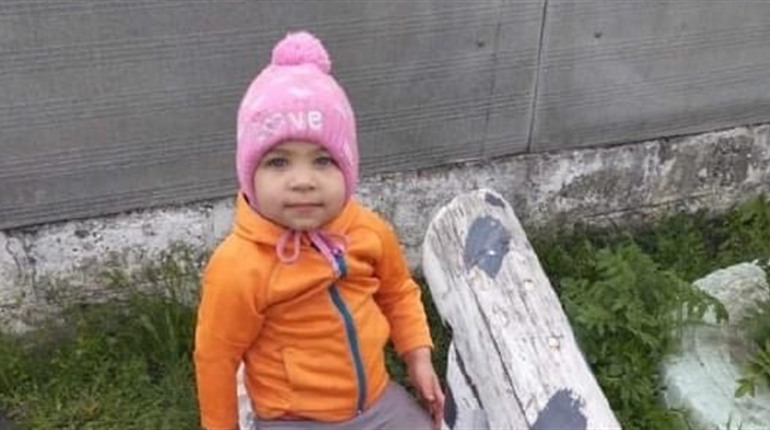 Три дні немає звістки: поліція Харківщини продовжує пошуки зниклої дворічної дівчинки