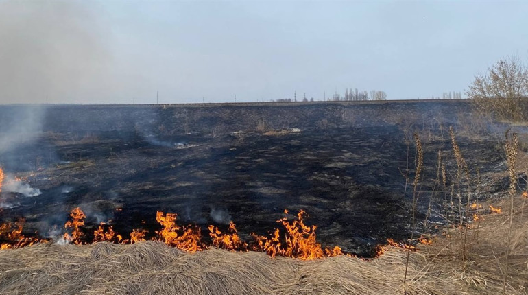 На вихідних рятувальники двічі гасили загоряння сухої трави у Глухові