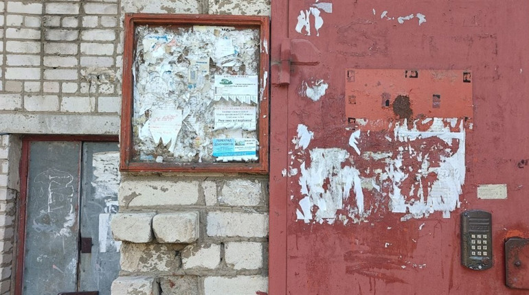 Дошка оголошень: листопад 2025 року