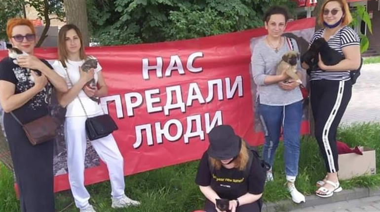 «Кожен може стати волонтером, головне - бажання»: Юлія Данильченко про діяльність ГО «4 лапи»