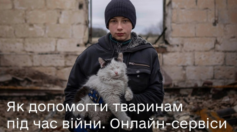Як допомогти тваринам під час війни — корисні сервіси