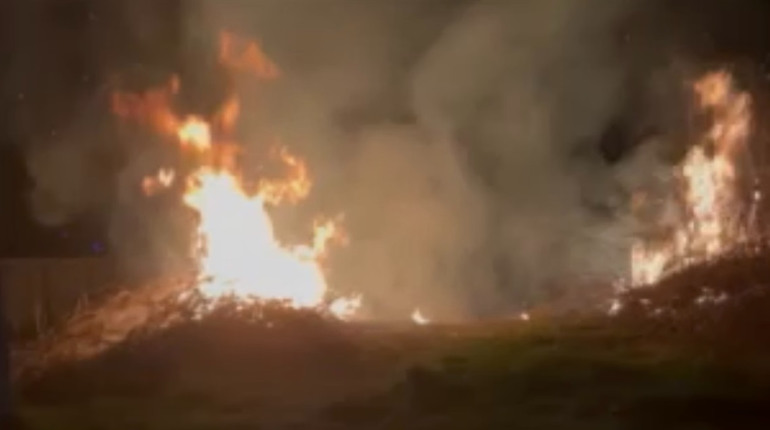 У Біляївці на узбіччі вулиці горіла суха рослинність: загасила вогонь мешканка провулку Успенський