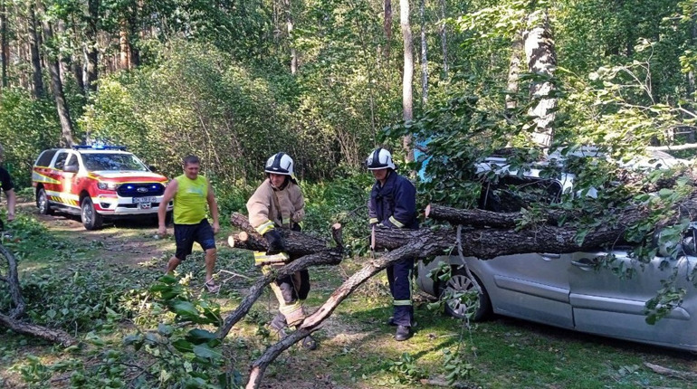 Внаслідок буревію на автомобіль впало дерево на Білому озері
