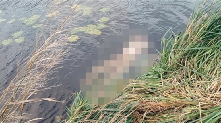 Жорстоке вбивство на Житомирщині: у річці знайшли частини розчленованого тіла чоловіка